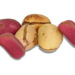 Kola nut